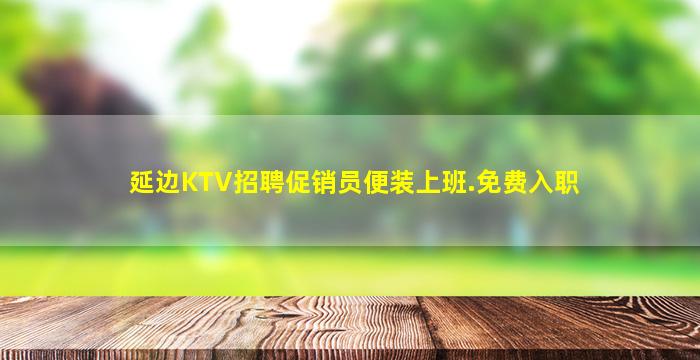 延边KTV招聘促销员便装上班.免费入职